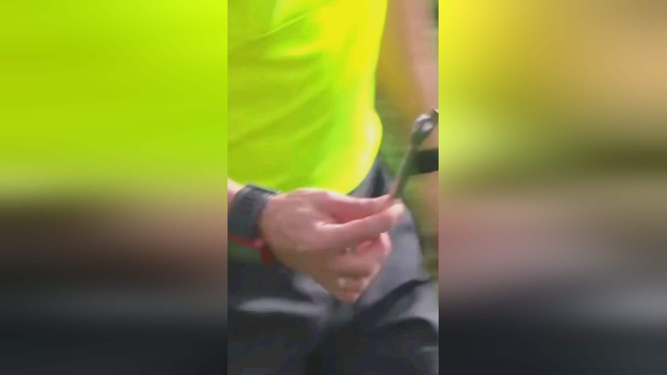 了决赛
