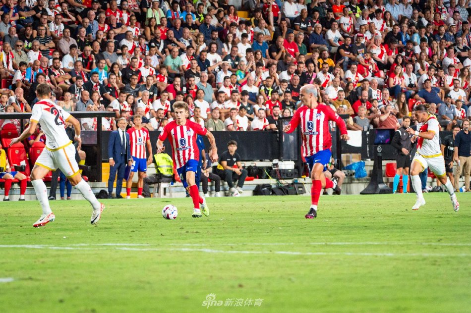 拦网高度 拦网高度